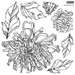 Stempel kwiaty - zestaw dwóch dużych plansz ze stemplami - chrysantemums - zestaw 2 - set ostatnie