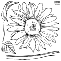 IOD-STA-SUN-STAMPS_Sunflowers-1-1.jpg
