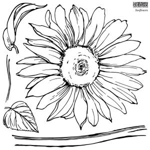 DECOR STEMPEL DUŻY IOD - sunflower - zestaw 2 - set