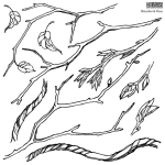 DECOR STEMPEL DUŻY IOD - branches & vines + maska