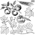 Copy of Fruitful_harvest_stamps-02.png