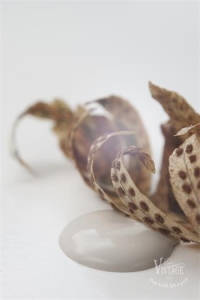 Farba kredowa vintage paint - french beige 700ml