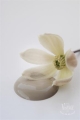 [700419] Old Beige 700ml.jpg
