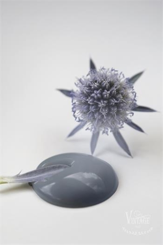 [700029] Petrol Blue.jpg