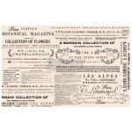 Papier decoupage prima redesign - decoupage tissue papier  - Floral Text