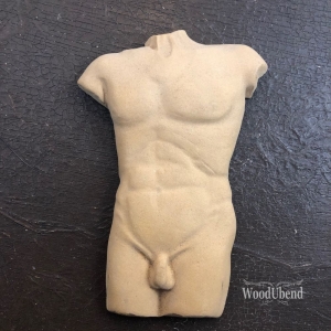 Male Torso WUB0117 16x11cms