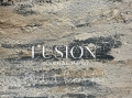 Faux-Finish-Wall-Fusion-Mineral-Paint-with-Fresco-Texture-Powder-Additive.jpg