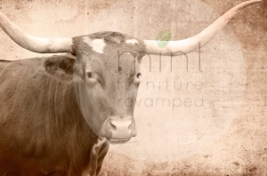Papier decoupage mint by michelle wzór byk texas longhorn - A3