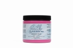 Silk Mineral farba dixie belle All-in-One  - Prickly Pear Silk Paint