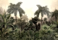 thetropics_e3e55860-6c1b-4de4-a989-942ae6b1cdb9_2048x_2.jpg