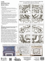 Copy of IOD-TRA-COT BACK.jpg