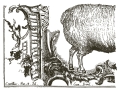 Copy of IOD-TRA-COT_8_page_7_sml.jpg