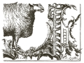 Copy of IOD-TRA-COT_8_page_8_sml.jpg