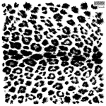 Stempel Iron Orchid Designs - catwalk stamps