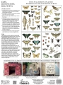 Entomology BACK.jpg