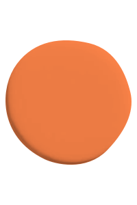 [GroepproductBrightOrange] Bright Orange.png