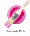 T1CURIOUSLYPINK.jpg