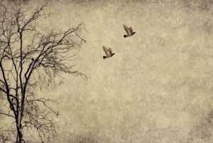 Papier decoupage - Mint by Michelle Flying birds A1