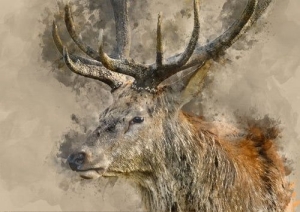 Papier decoupage - mint by michelle Yes deer A3