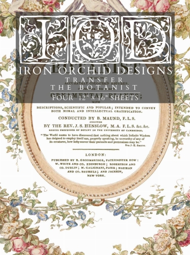 IOD-TRA-THE FRONT.jpg