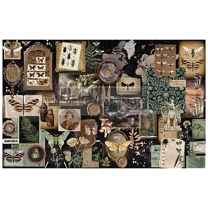 Herbarium Notes.webp