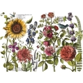 iod-decor-transfers-botanistss-journal_1.jpg