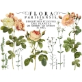iod-decor-transfers-flora-parisiensis_1.jpg