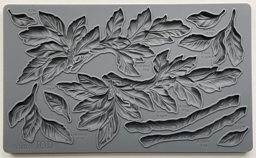 Copy-of-IOD-MOU-VIR-mould.jpg