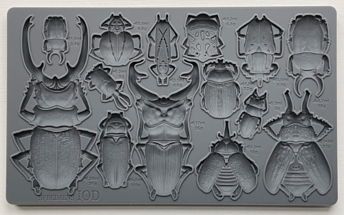 Copy-of-IOD-MOU-SPE-mould.jpg