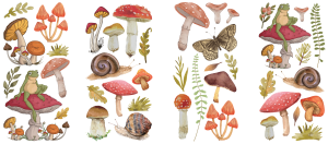 Transfer Dixie Belle Belles & Whistles Transfer Mr. Toad's Happy Place