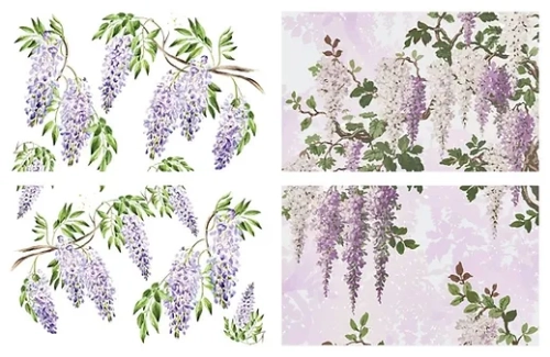 wisteria dixie belle.webp