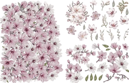 Magnificent Magnolia.webp