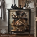 Steam Meow 3.jpg