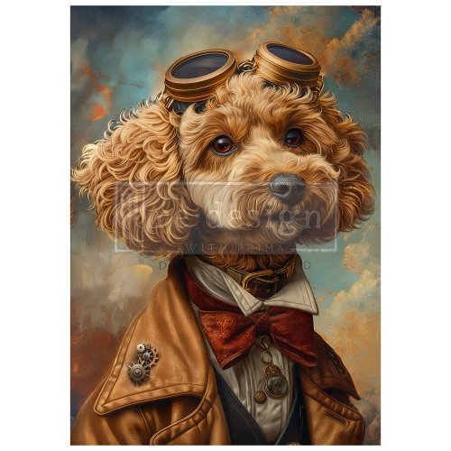 Sprocket Sniffer 1.jpg