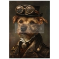 Gearhound 1.jpg