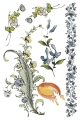 Copy of IOD-TRA-FTF Fairytale Florals page 5 sml.jpg
