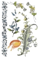 Copy of IOD-TRA-FTF Fairytale Florals page 6 sml.jpg