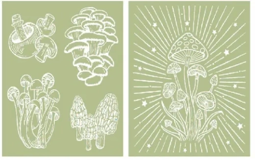 mushrooms.webp