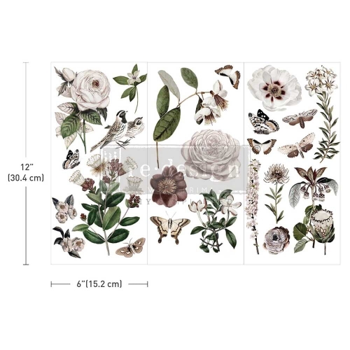 [655350674540] Small Transfers - Secret Garden.jpeg