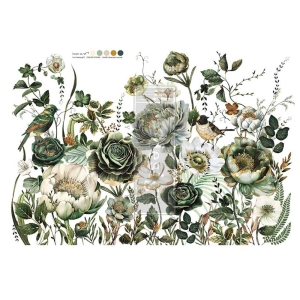 Transfer Botanical Journal Redesign 