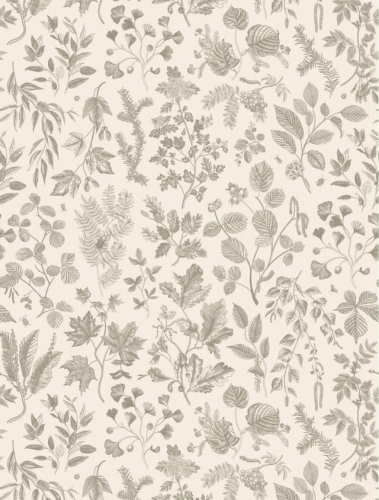 dainty-botanical-a2__76750.jpg