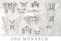 ironorchid_design--1572279126146.jpg