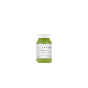 Farba Alchemy by Fusion – kolor Moss	120ml