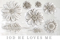 ironorchid_design--1572279125753.jpg