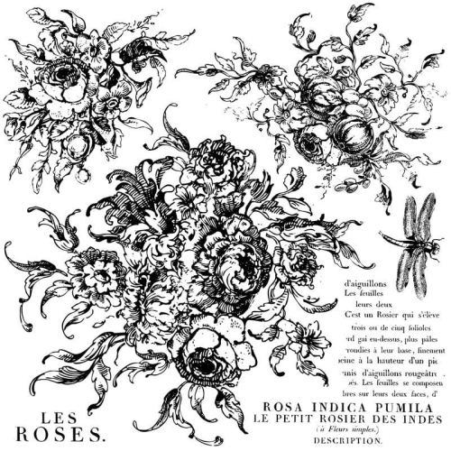 iod---iron-orchid-designs-decor-stempel-rose-toile.jpg