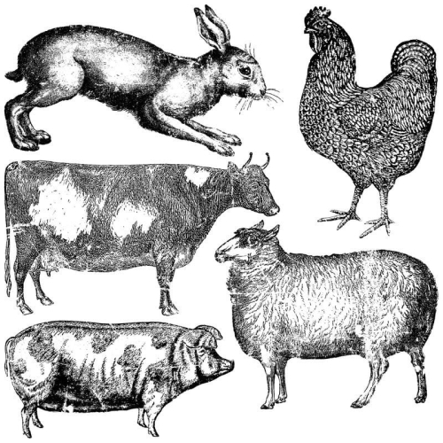 iod---iron-orchid-designs-decor-stempel-farm-animals.jpg